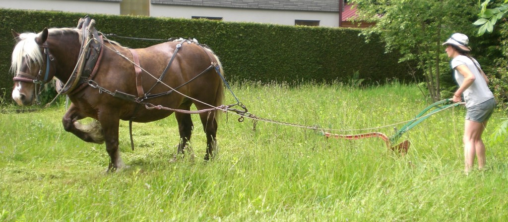 Giromagny jardin partagé