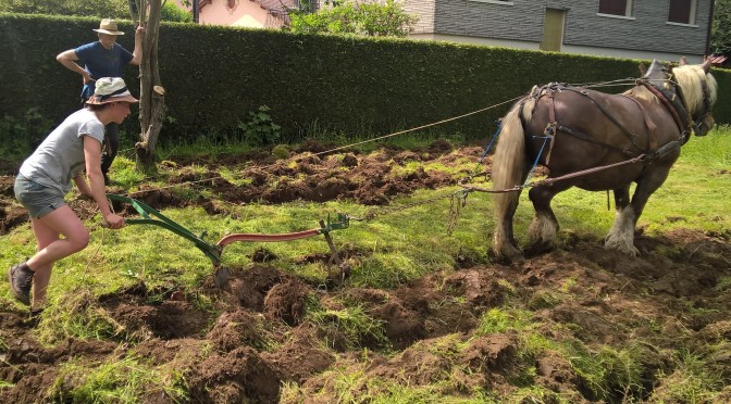 Giromagny : un jardin partagé