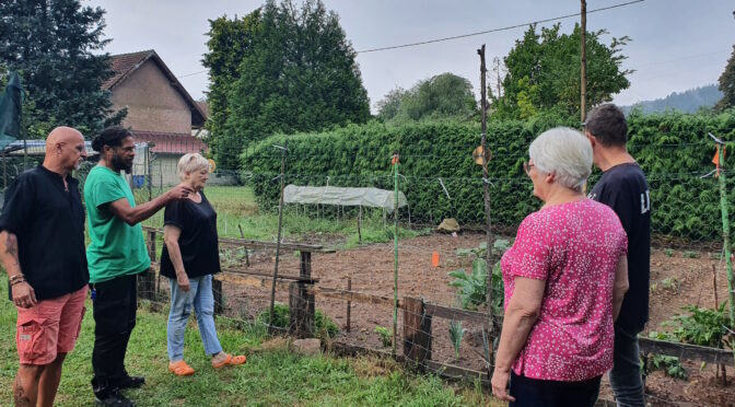 Des jardins de proximité au centre de Giromagny